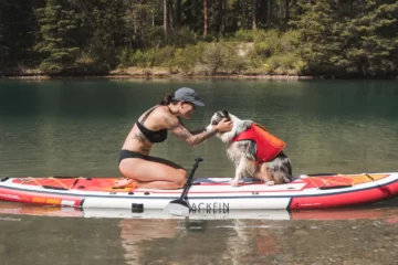 best paddle boards for dogs