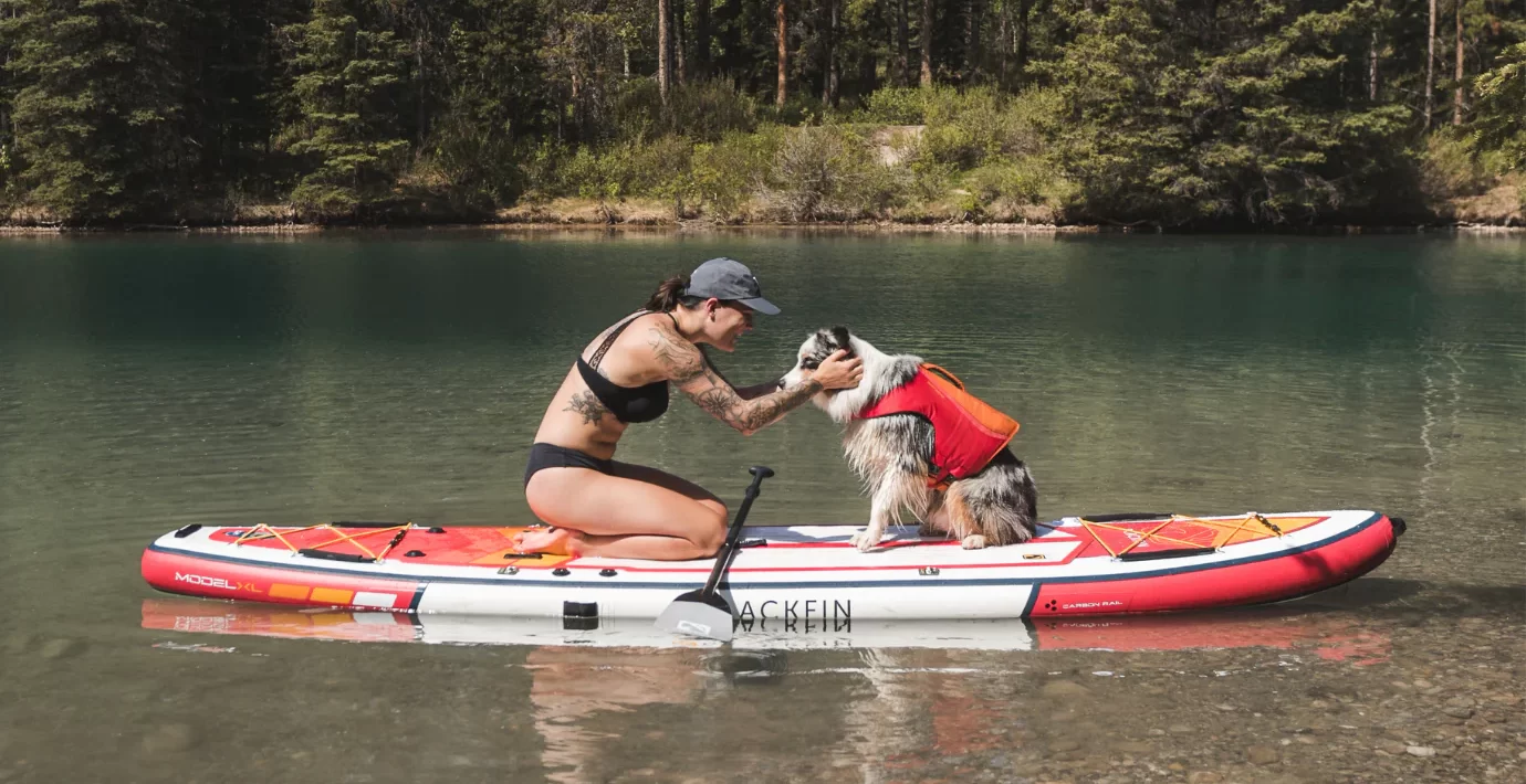 best paddle boards for dogs