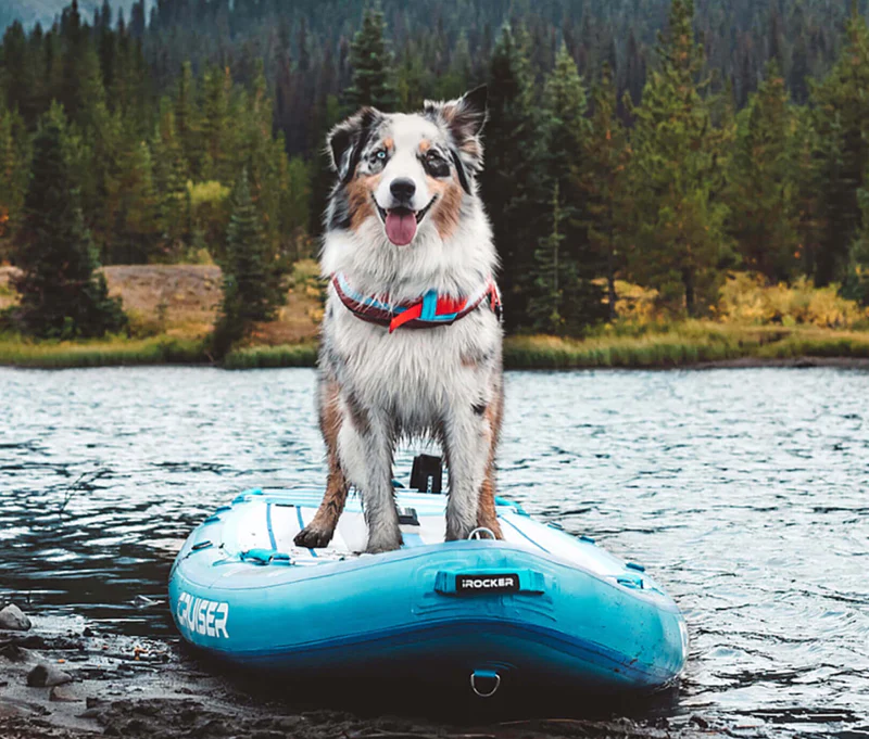 dog paddle boards or dog sups